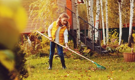 Listopad na zahradě - jak nejlépe zazimovat užitkovou zahradu