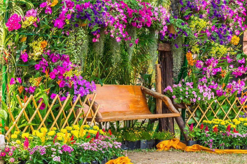 Voňavá zahrada: květiny a keře s nejkrásnější vůní