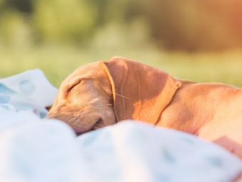 Relaxujte doma 1 část – relax na zahradě