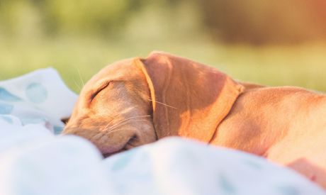 Relaxujte doma 1 část – relax na zahradě