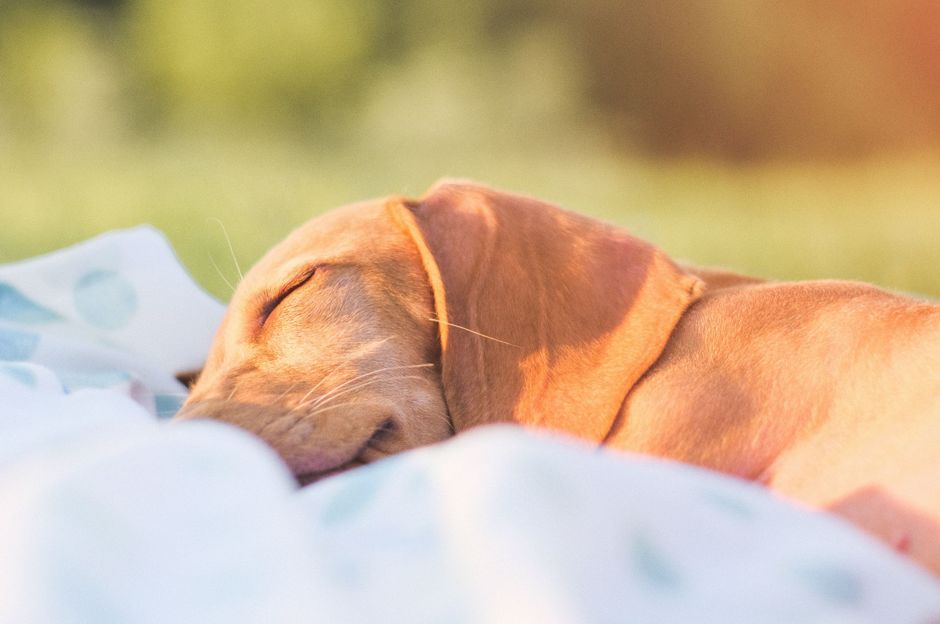 Relaxujte doma 1 část – relax na zahradě