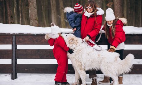 Jak se zabavit v zimě: Zimní outdoorové aktivity pro celou rodinu