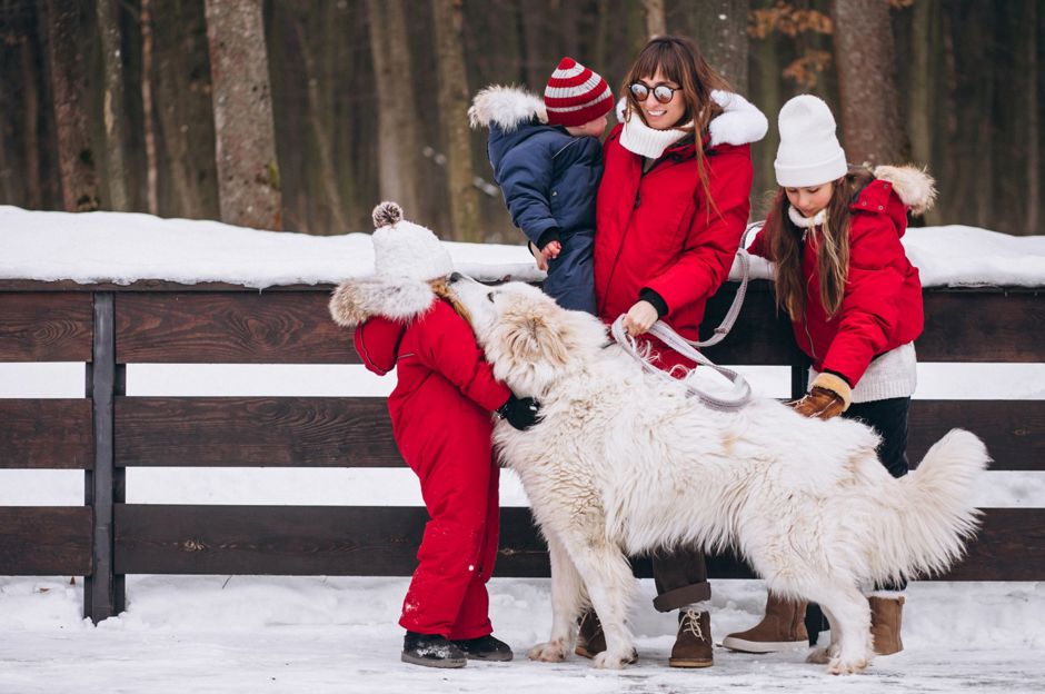 Jak se zabavit v zimě: Zimní outdoorové aktivity pro celou rodinu