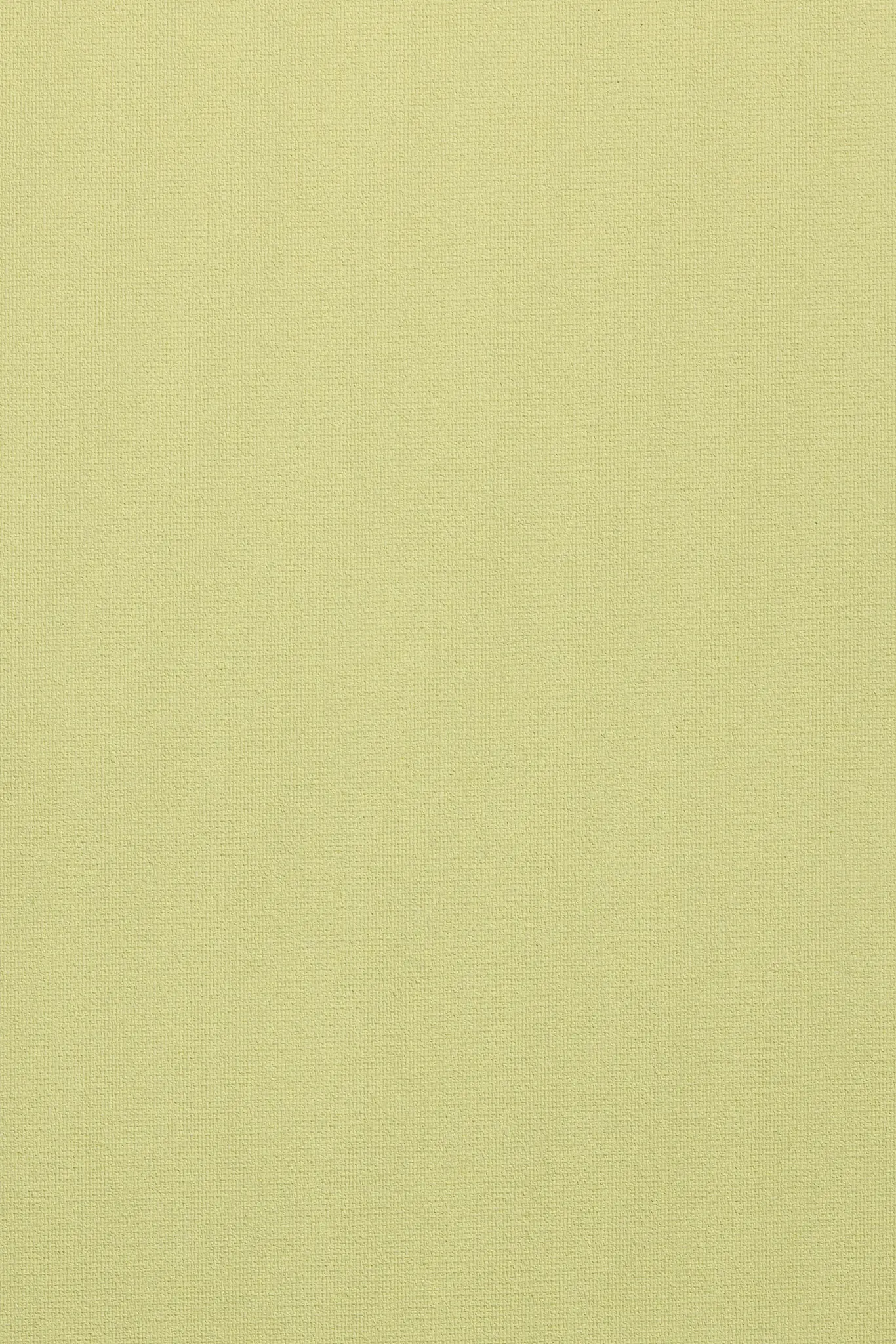 ANT 4125